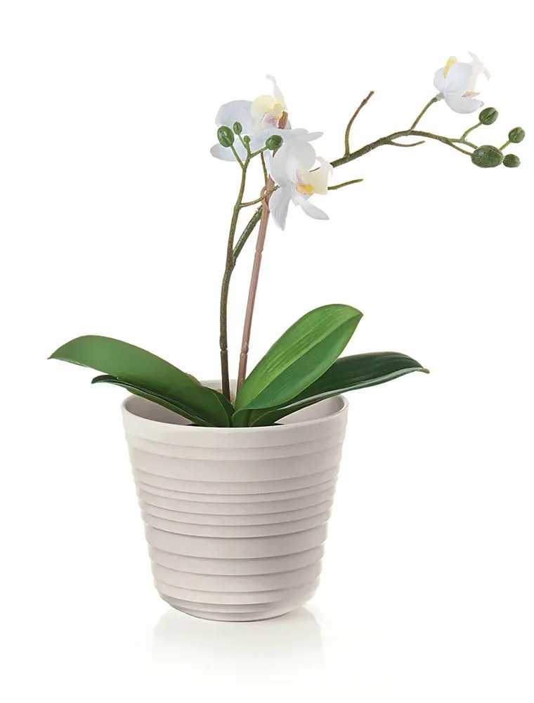 Vaso Guzzini - Argilla